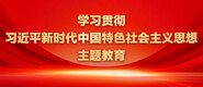 嗯啊大鸡巴用力插好舒服视频学习贯彻习近平新时代中国特色社会主义思想主题教育_fororder_ad-371X160(2)